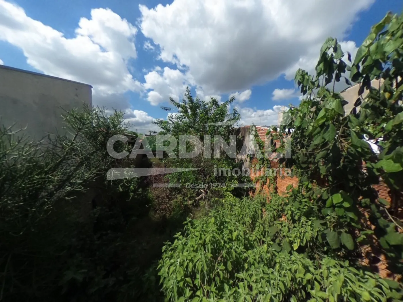 Comprar Terreno / Padr&atilde;o em S&atilde;o Carlos R$ 90.450,00 - Foto 3