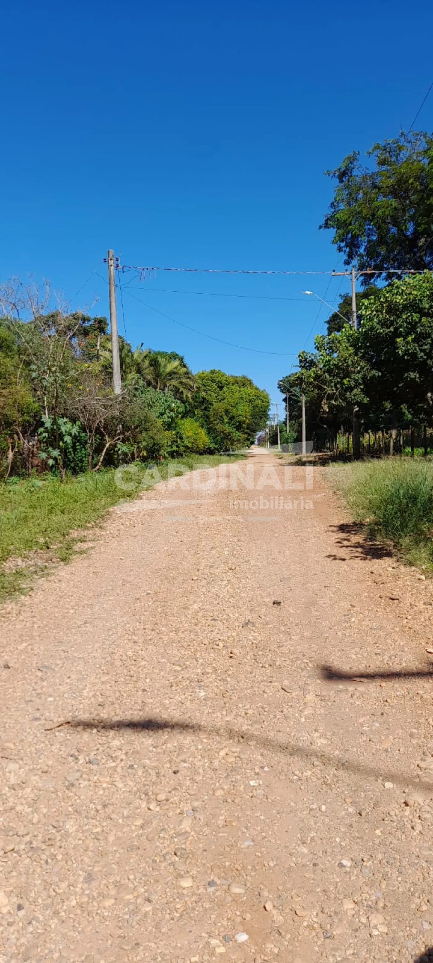 Rural / Ch&aacute;cara em S&atilde;o Carlos 