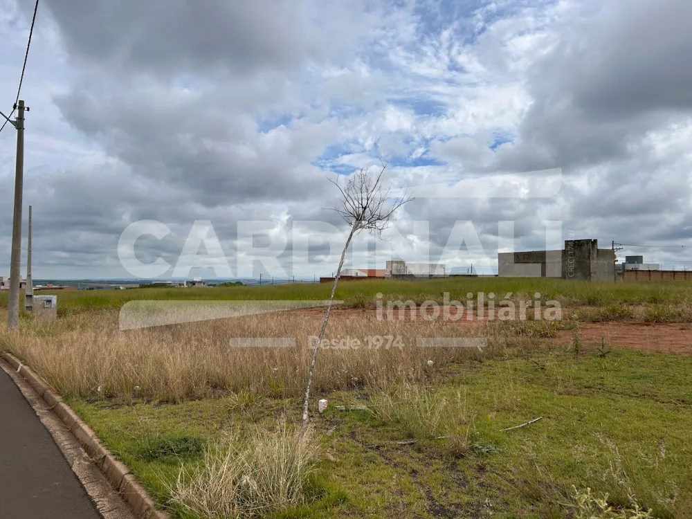 Alugar Terreno / Padr&atilde;o em S&atilde;o Carlos R$ 2.778,00 - Foto 3
