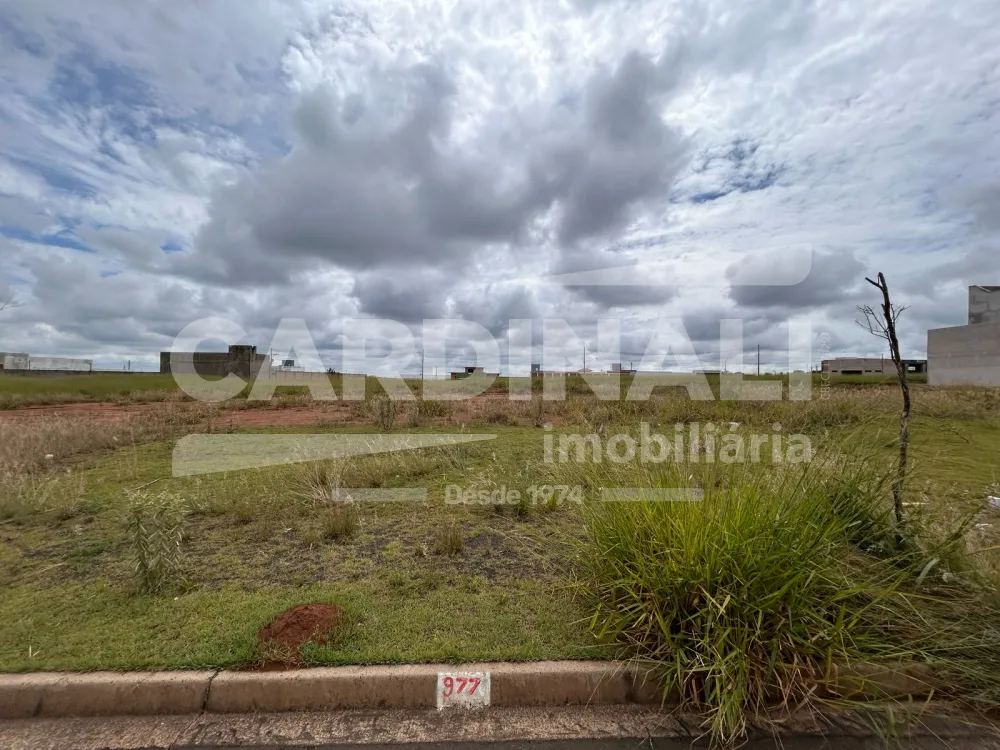 Alugar Terreno / Padr&atilde;o em S&atilde;o Carlos R$ 2.778,00 - Foto 4