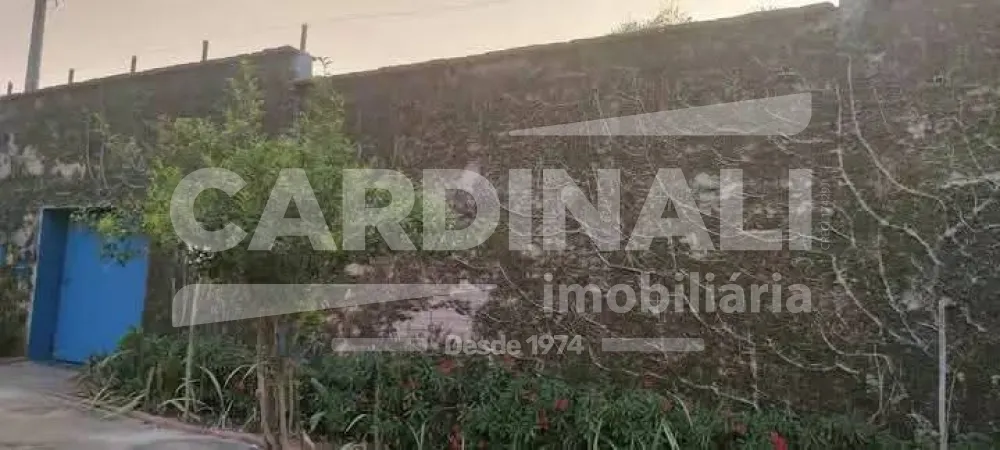 Casa / Padr&atilde;o em S&atilde;o Carlos 