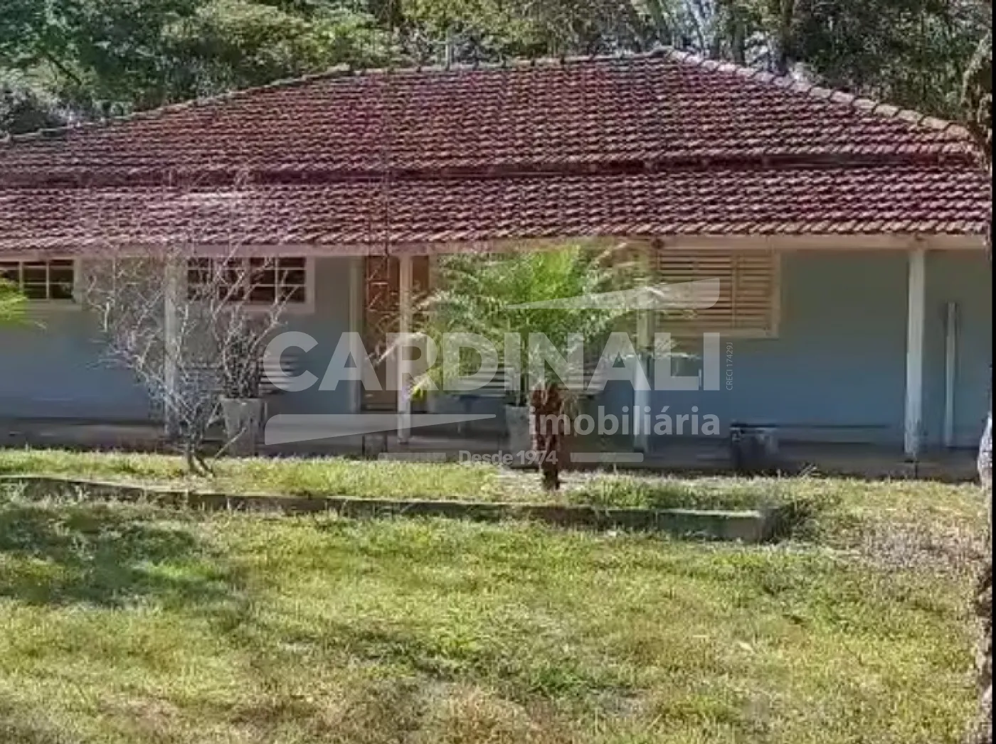 Rural / S&iacute;tio em Ribeir&atilde;o Bonito 