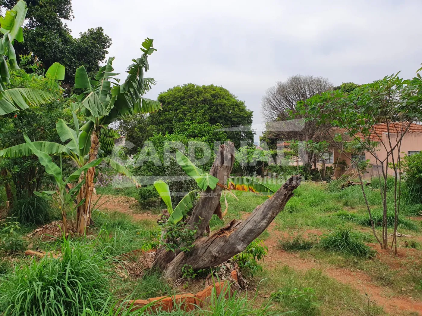 Terreno / Padr&atilde;o em Araraquara , Comprar por R$420.000,00
