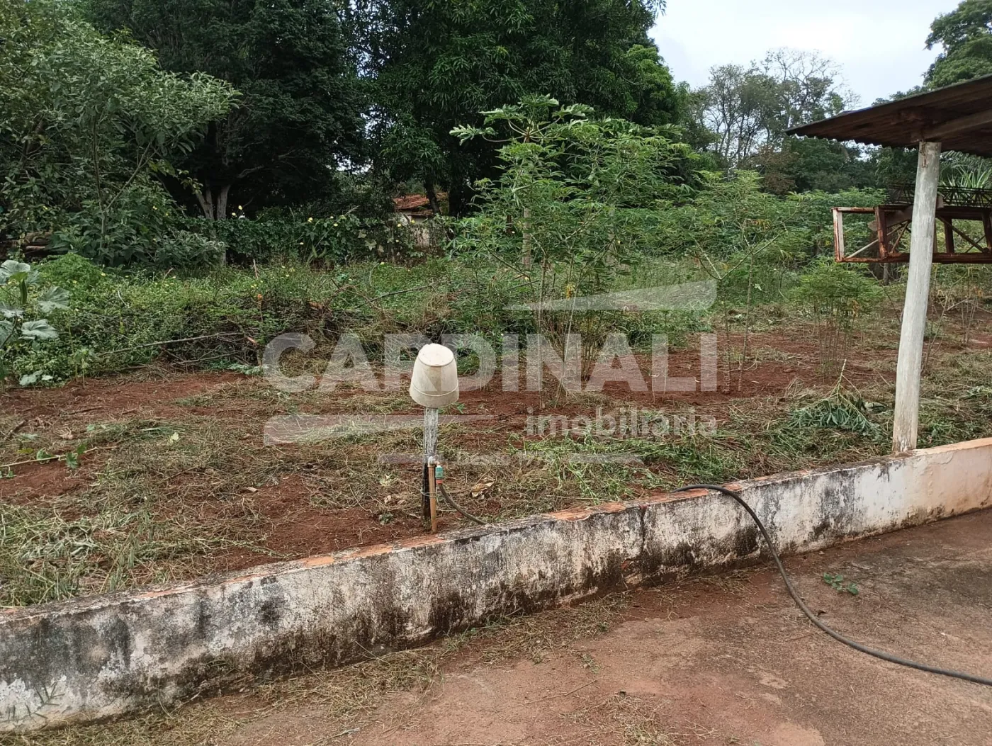 Comprar Rural / Ch&aacute;cara em S&atilde;o Carlos R$ 742.000,00 - Foto 2