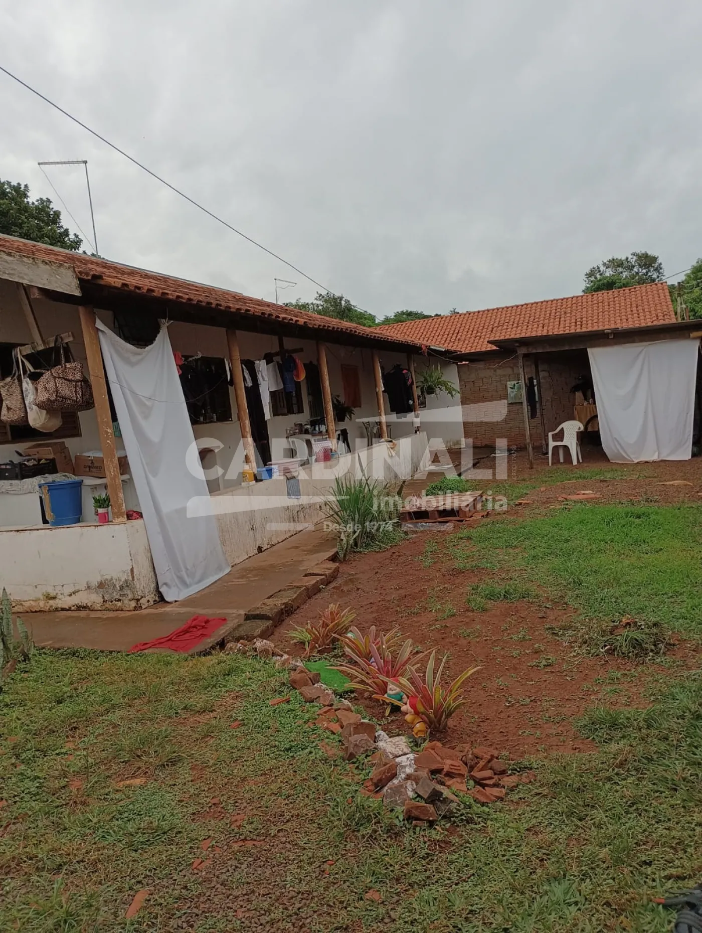 Comprar Rural / Ch&aacute;cara em S&atilde;o Carlos R$ 742.000,00 - Foto 3