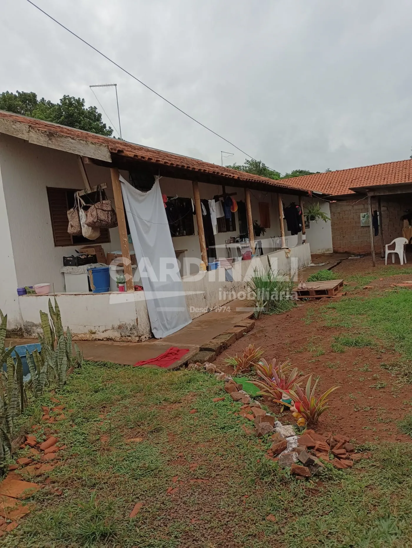 Comprar Rural / Ch&aacute;cara em S&atilde;o Carlos R$ 742.000,00 - Foto 4