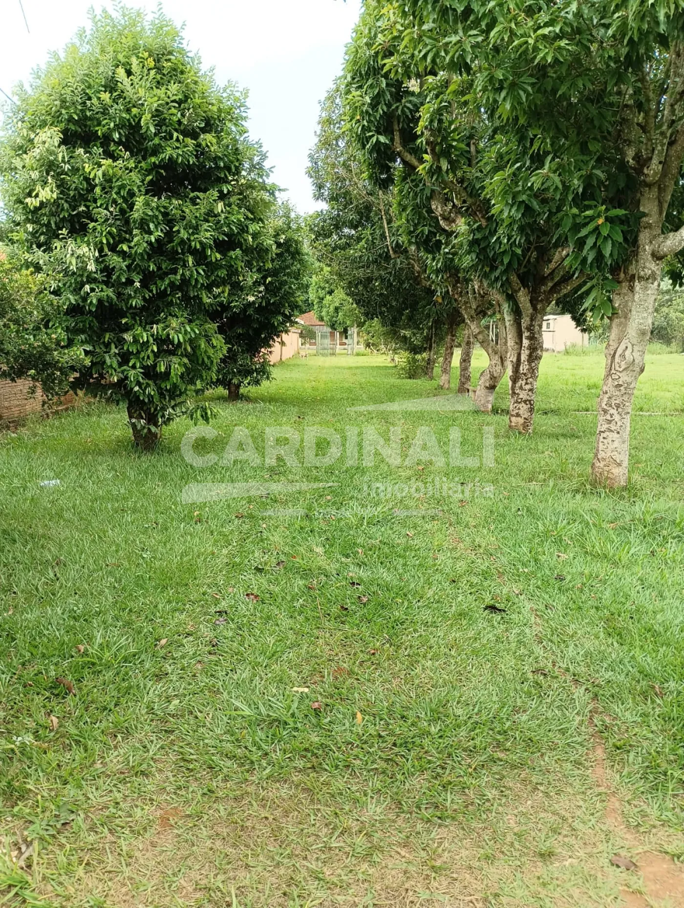 Comprar Rural / Ch&aacute;cara em S&atilde;o Carlos R$ 742.000,00 - Foto 5