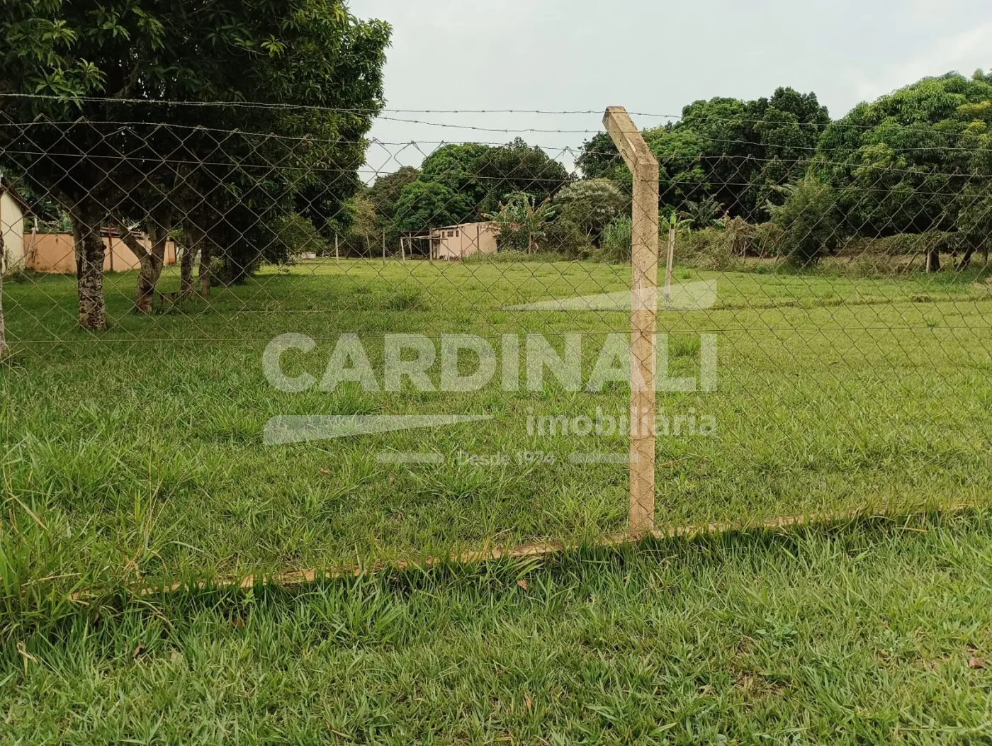 Comprar Rural / Ch&aacute;cara em S&atilde;o Carlos R$ 742.000,00 - Foto 6