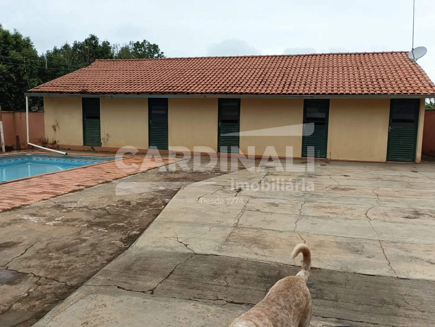 Comprar Rural / Ch&aacute;cara em S&atilde;o Carlos R$ 742.000,00 - Foto 13