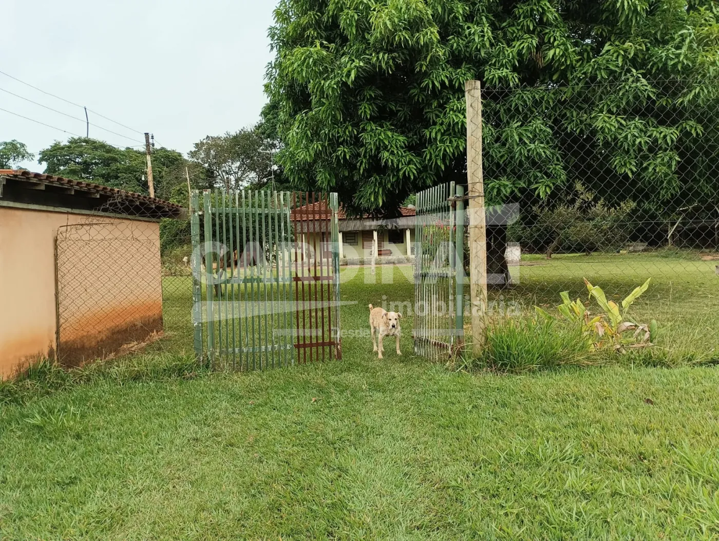 Comprar Rural / Ch&aacute;cara em S&atilde;o Carlos R$ 742.000,00 - Foto 17