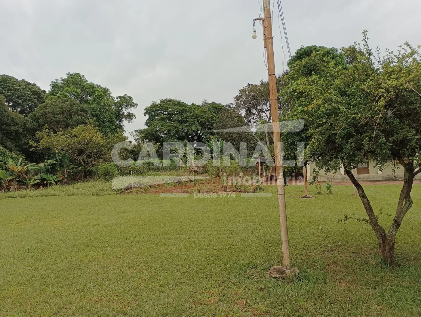 Comprar Rural / Ch&aacute;cara em S&atilde;o Carlos R$ 742.000,00 - Foto 19