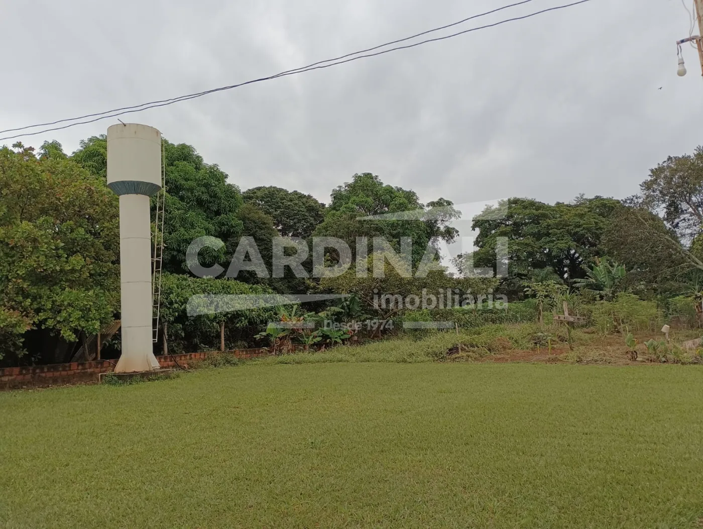 Comprar Rural / Ch&aacute;cara em S&atilde;o Carlos R$ 742.000,00 - Foto 20