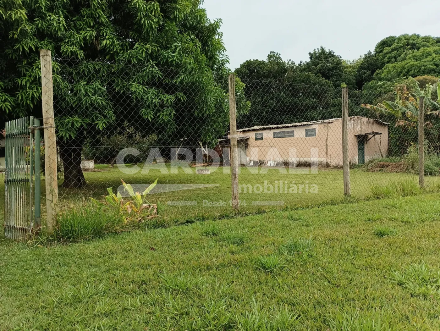 Comprar Rural / Ch&aacute;cara em S&atilde;o Carlos R$ 742.000,00 - Foto 22