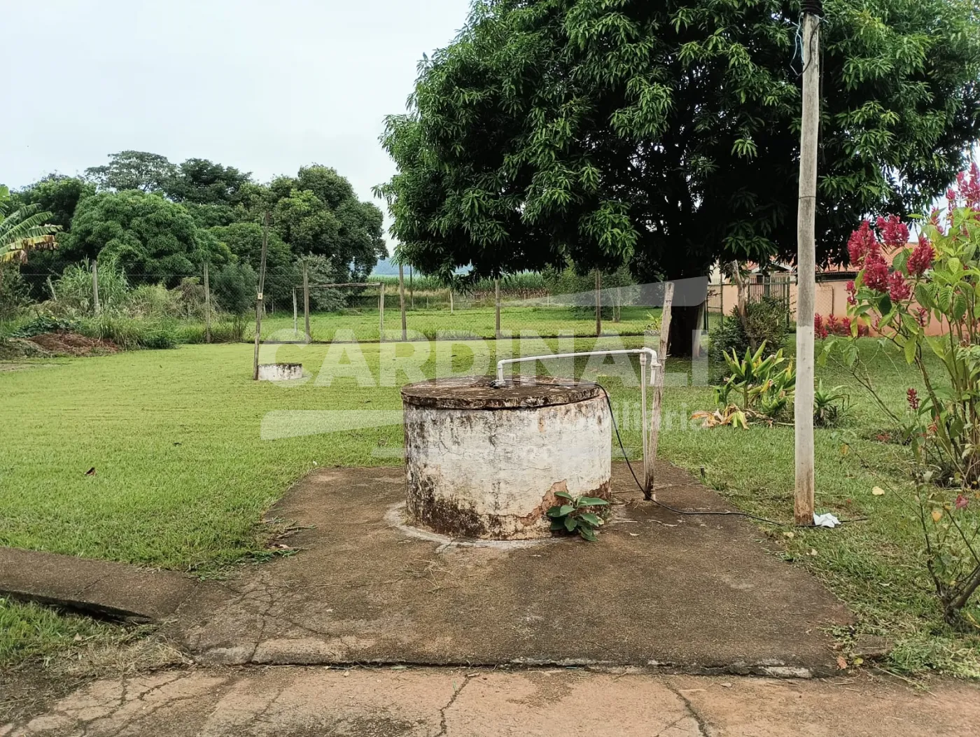 Comprar Rural / Ch&aacute;cara em S&atilde;o Carlos R$ 742.000,00 - Foto 23