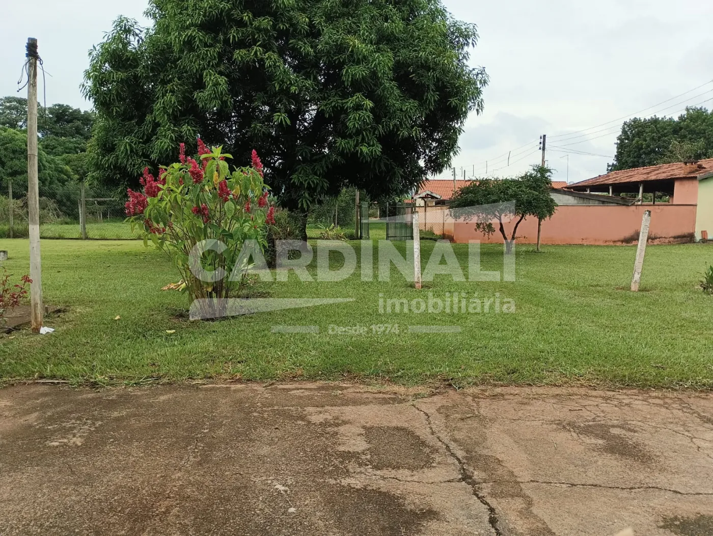Comprar Rural / Ch&aacute;cara em S&atilde;o Carlos R$ 742.000,00 - Foto 24