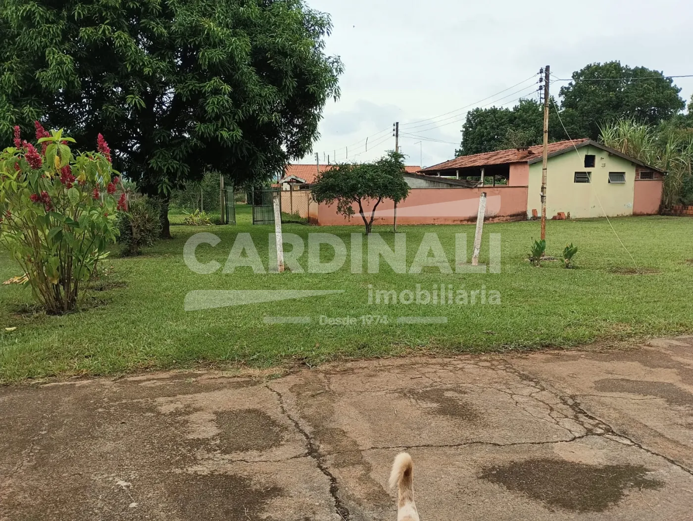 Comprar Rural / Ch&aacute;cara em S&atilde;o Carlos R$ 742.000,00 - Foto 25