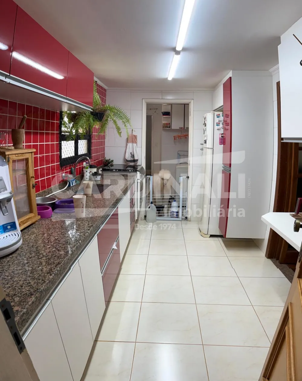 Comprar Apartamento / Padr&atilde;o em Araraquara R$ 425.000,00 - Foto 4