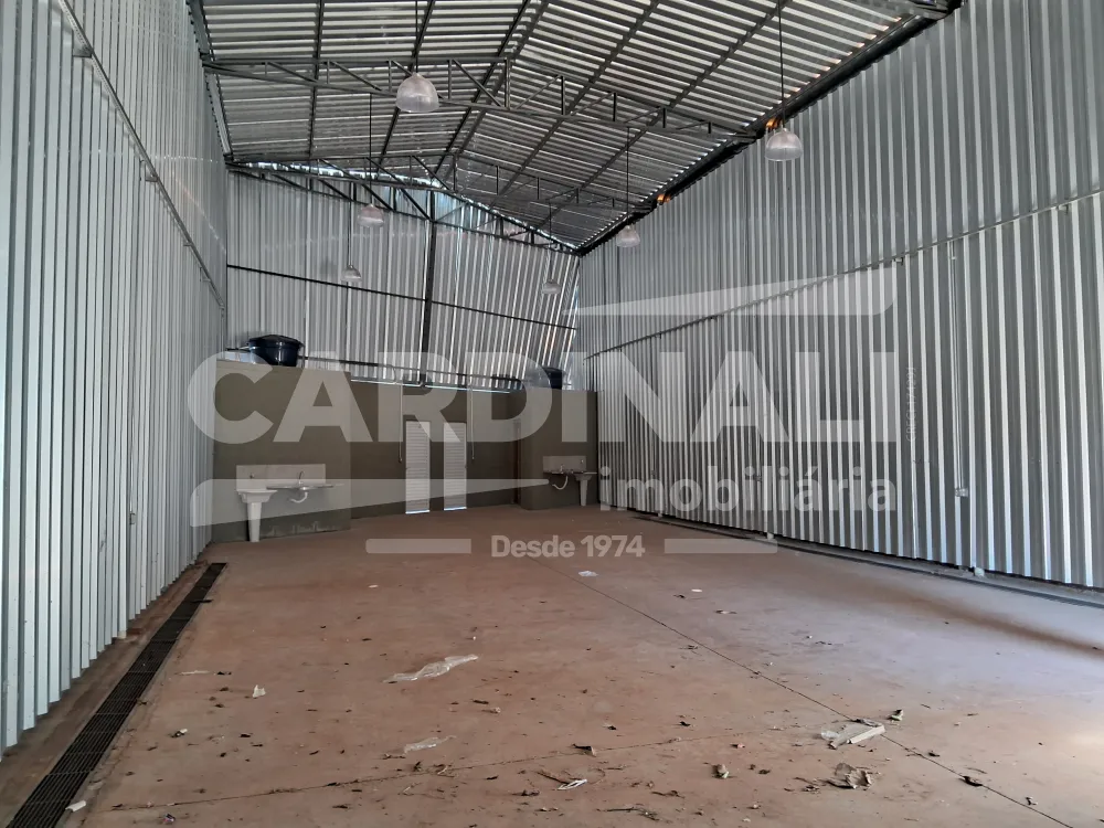 Comprar Comercial / Barrac&atilde;o em Araraquara R$ 530.000,00 - Foto 4