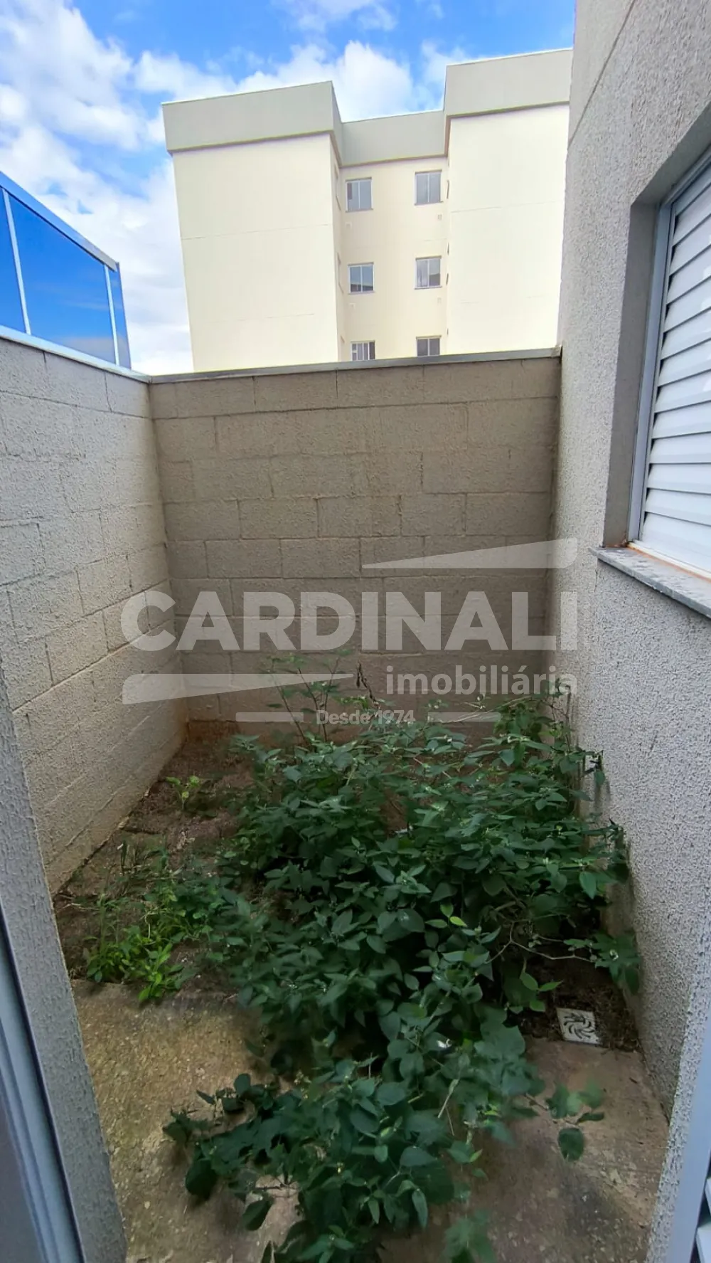 Alugar Apartamento / Padr&atilde;o em Araraquara R$ 850,00 - Foto 3