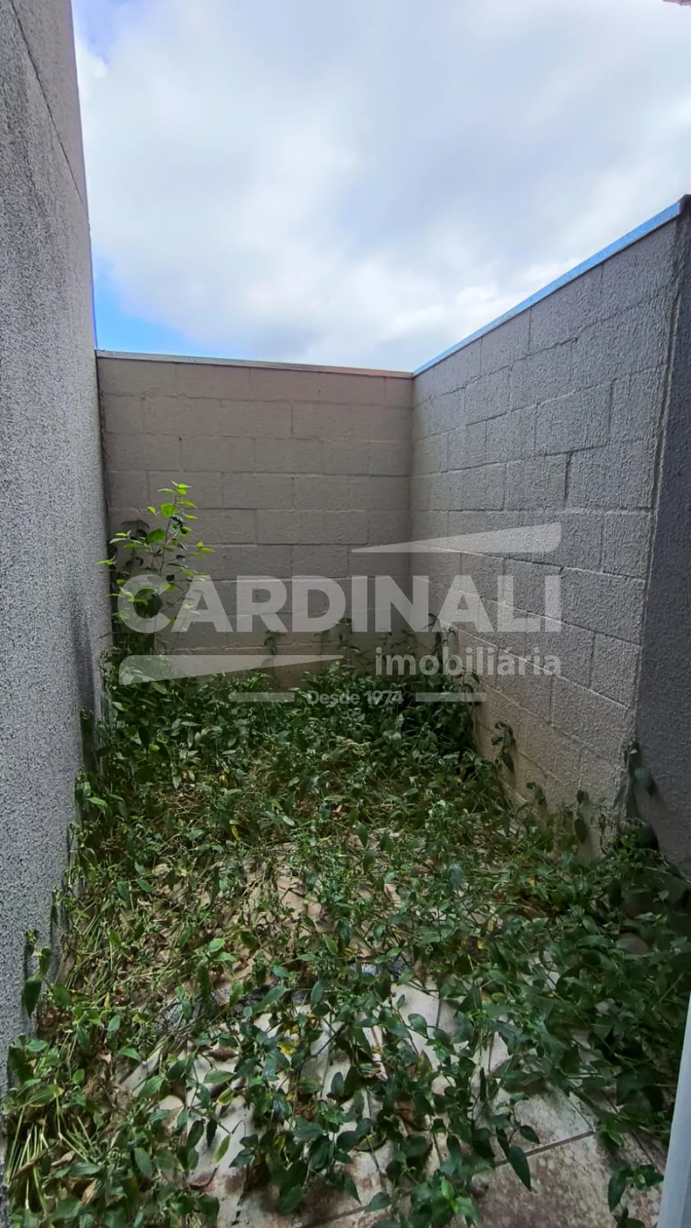 Alugar Apartamento / Padr&atilde;o em Araraquara R$ 850,00 - Foto 4