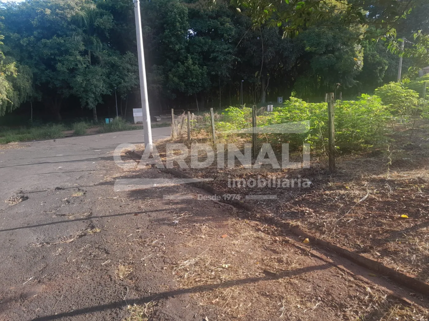 Terreno / Padr&atilde;o em Araraquara 