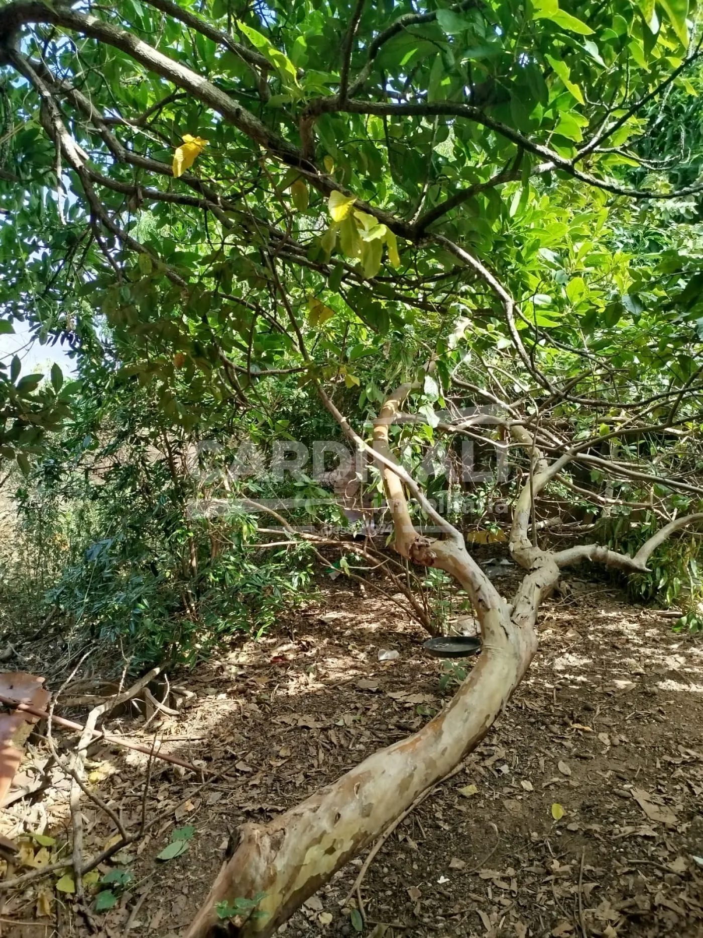 Terreno / Padr&atilde;o em S&atilde;o Carlos , Comprar por R$300.000,00