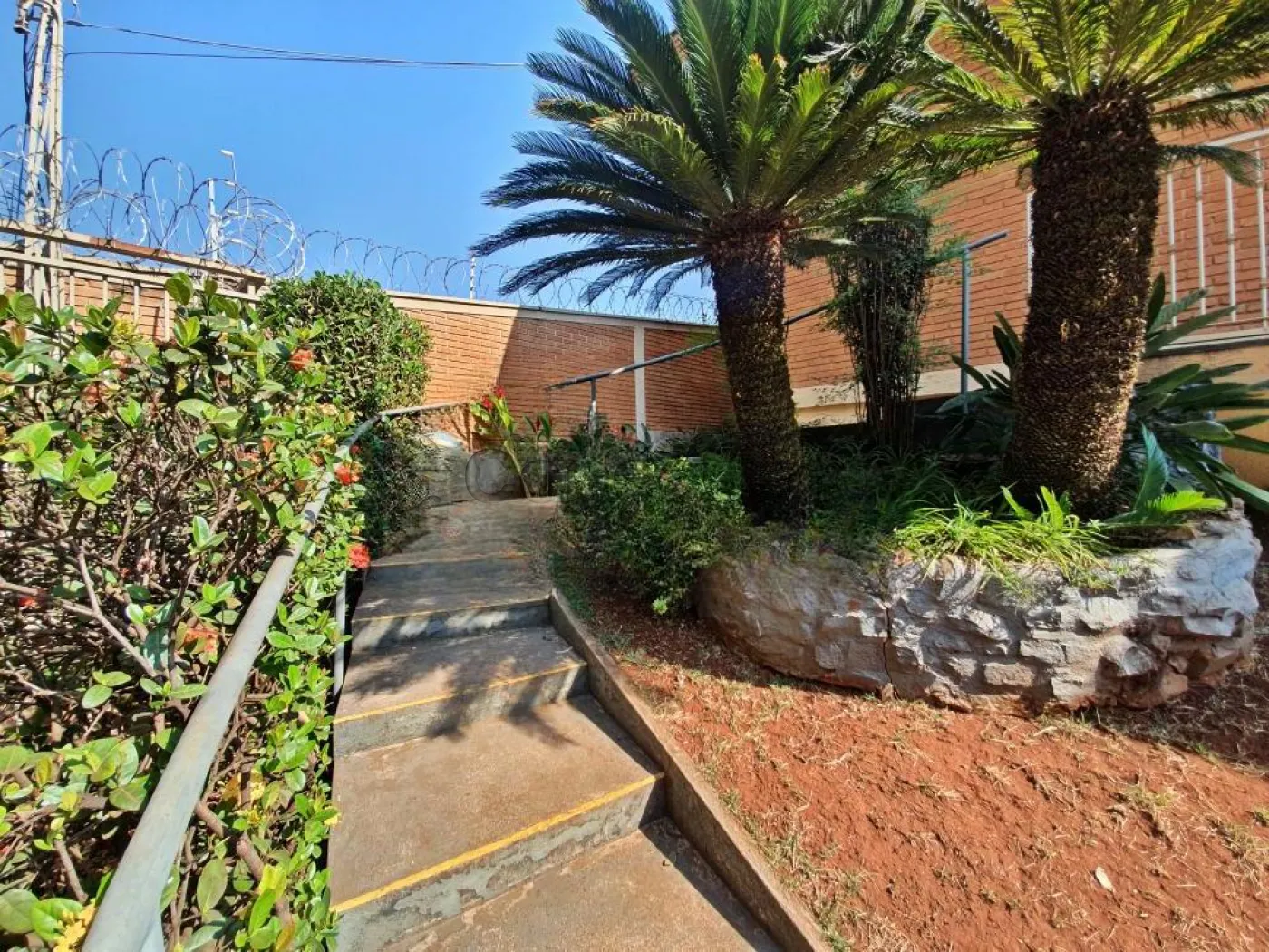 Casa / Padr&atilde;o em Ribeir&atilde;o Preto 