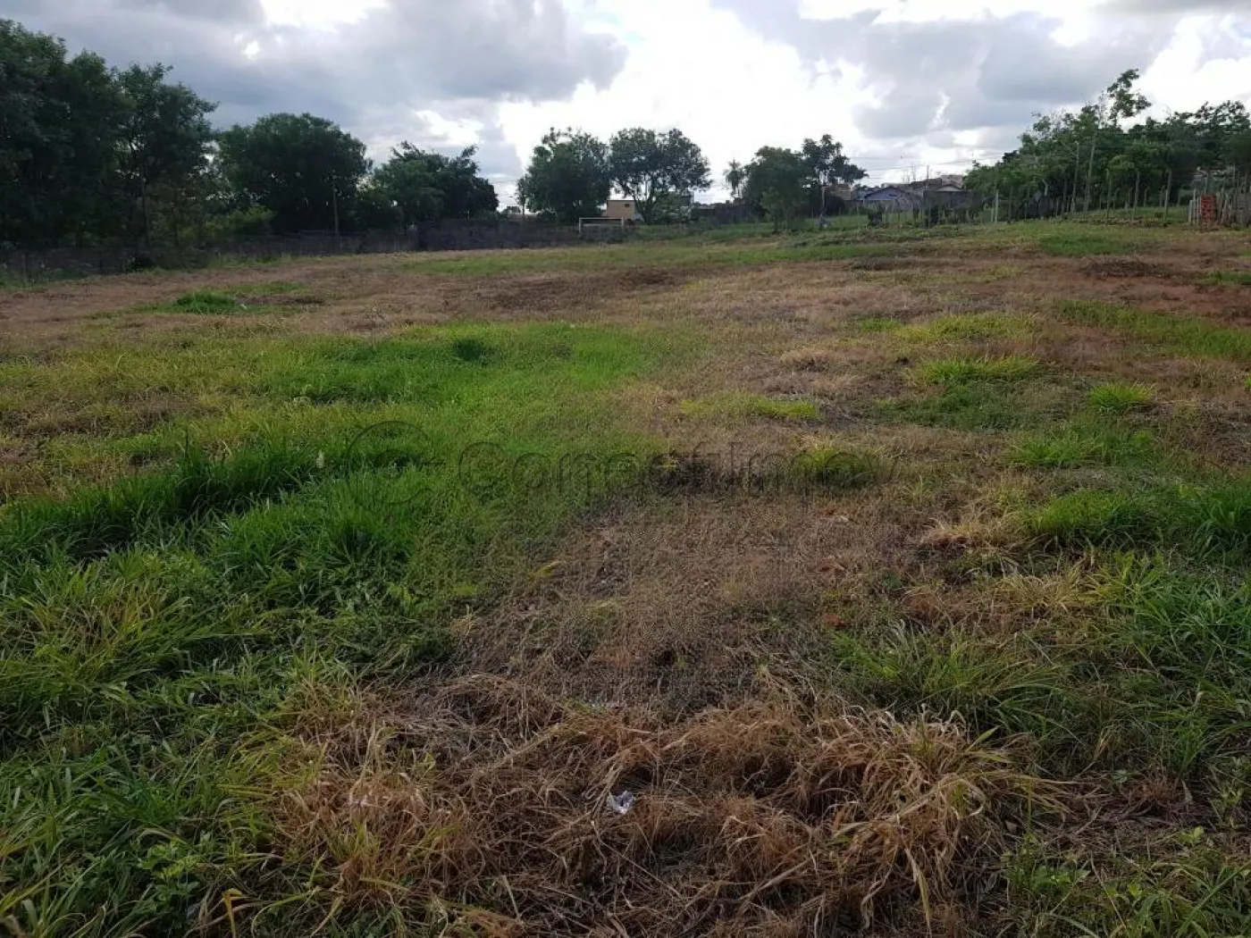 Terreno / Padr&atilde;o em Ribeir&atilde;o Preto 