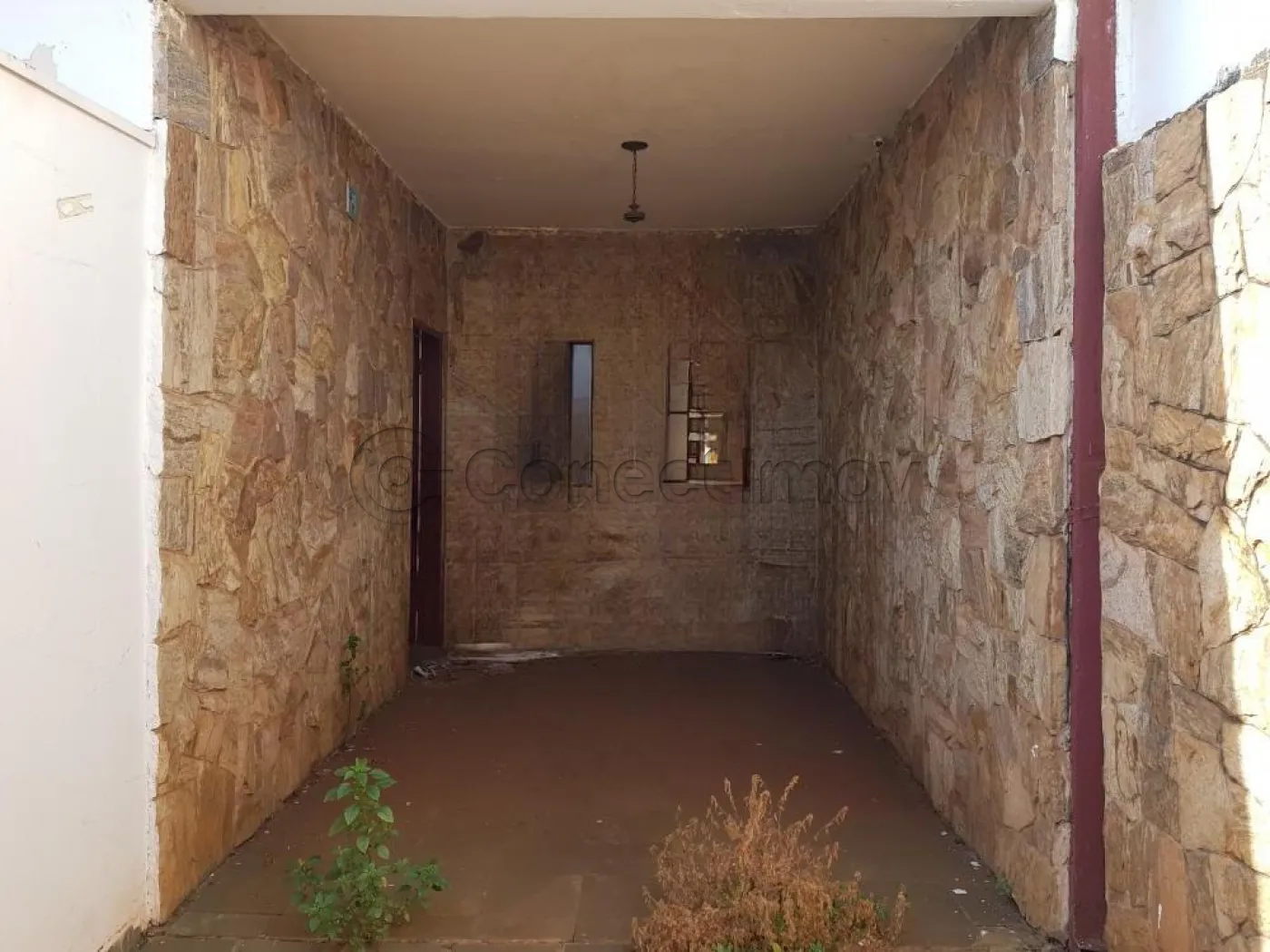 Comercial / Padr&atilde;o em Ribeir&atilde;o Preto 