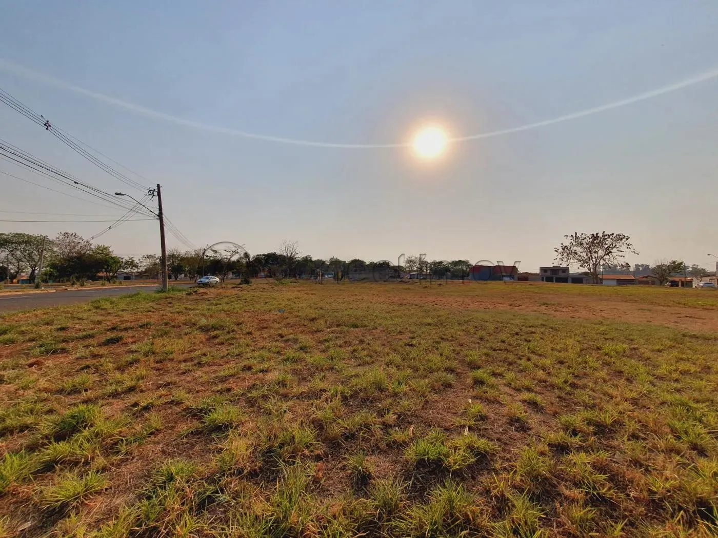Terreno / Padr&atilde;o em Ribeir&atilde;o Preto 