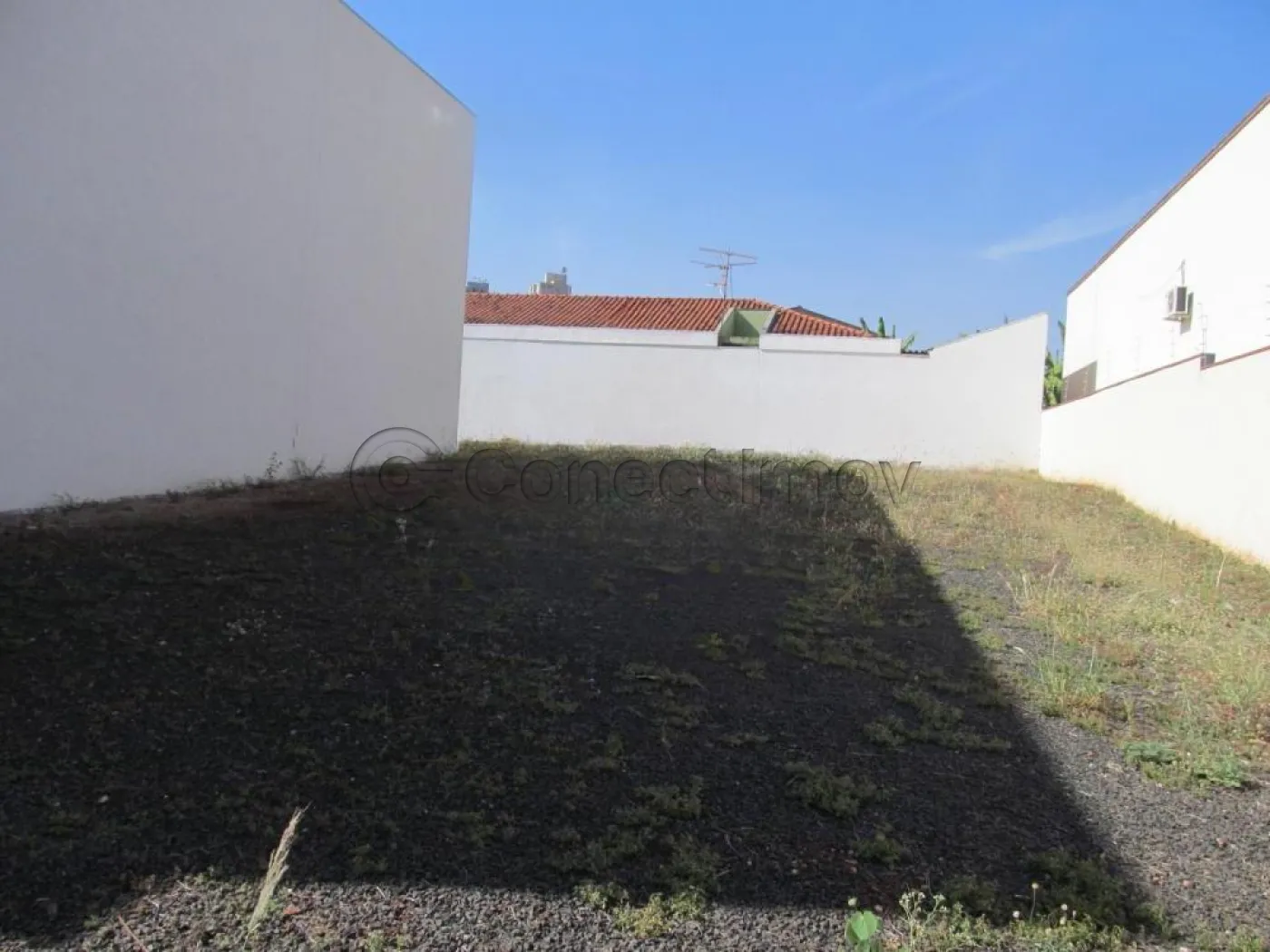 Terreno / Padr&atilde;o em Ribeir&atilde;o Preto 