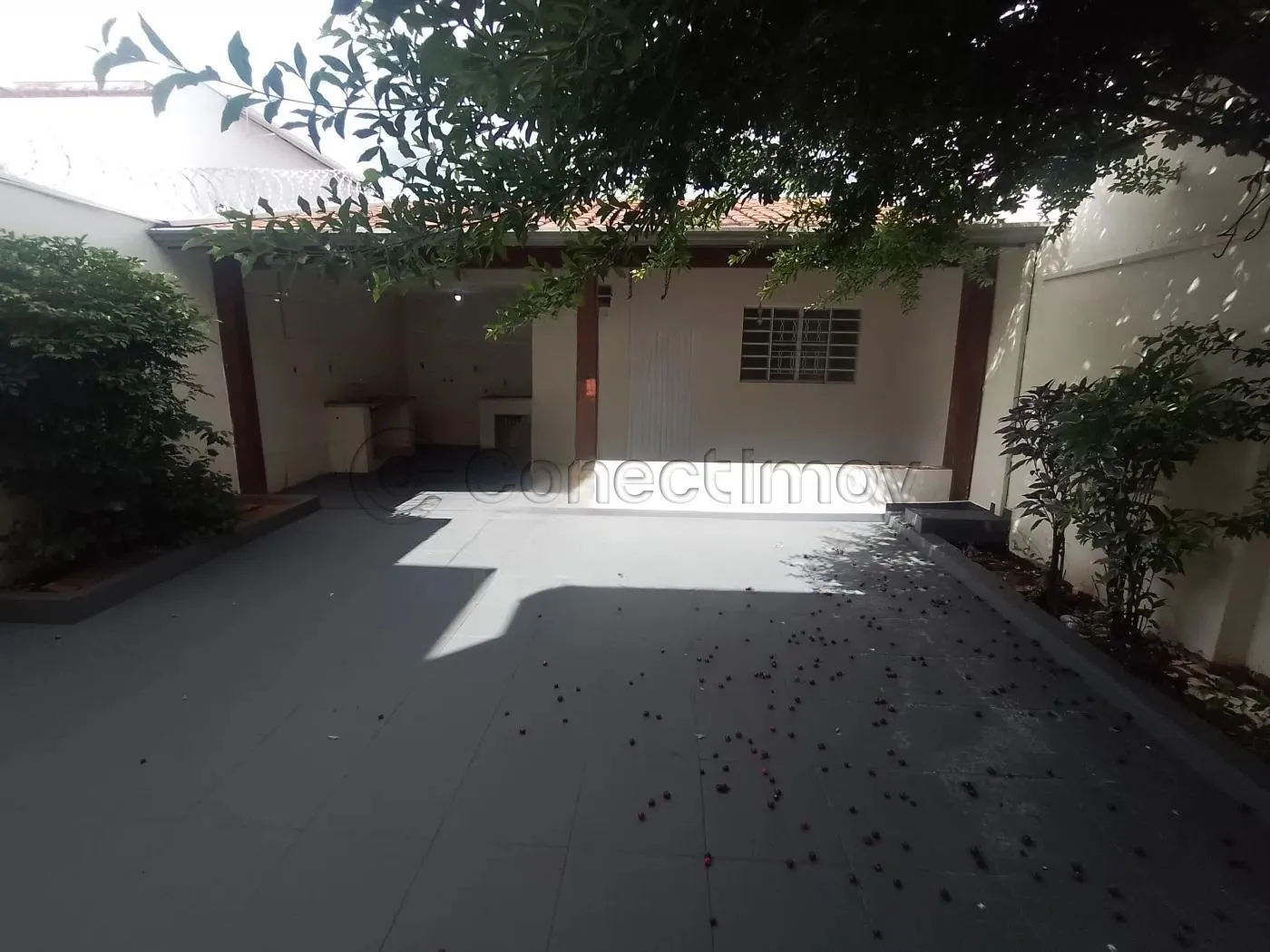 Casa / Sobrado em Ribeir&atilde;o Preto 