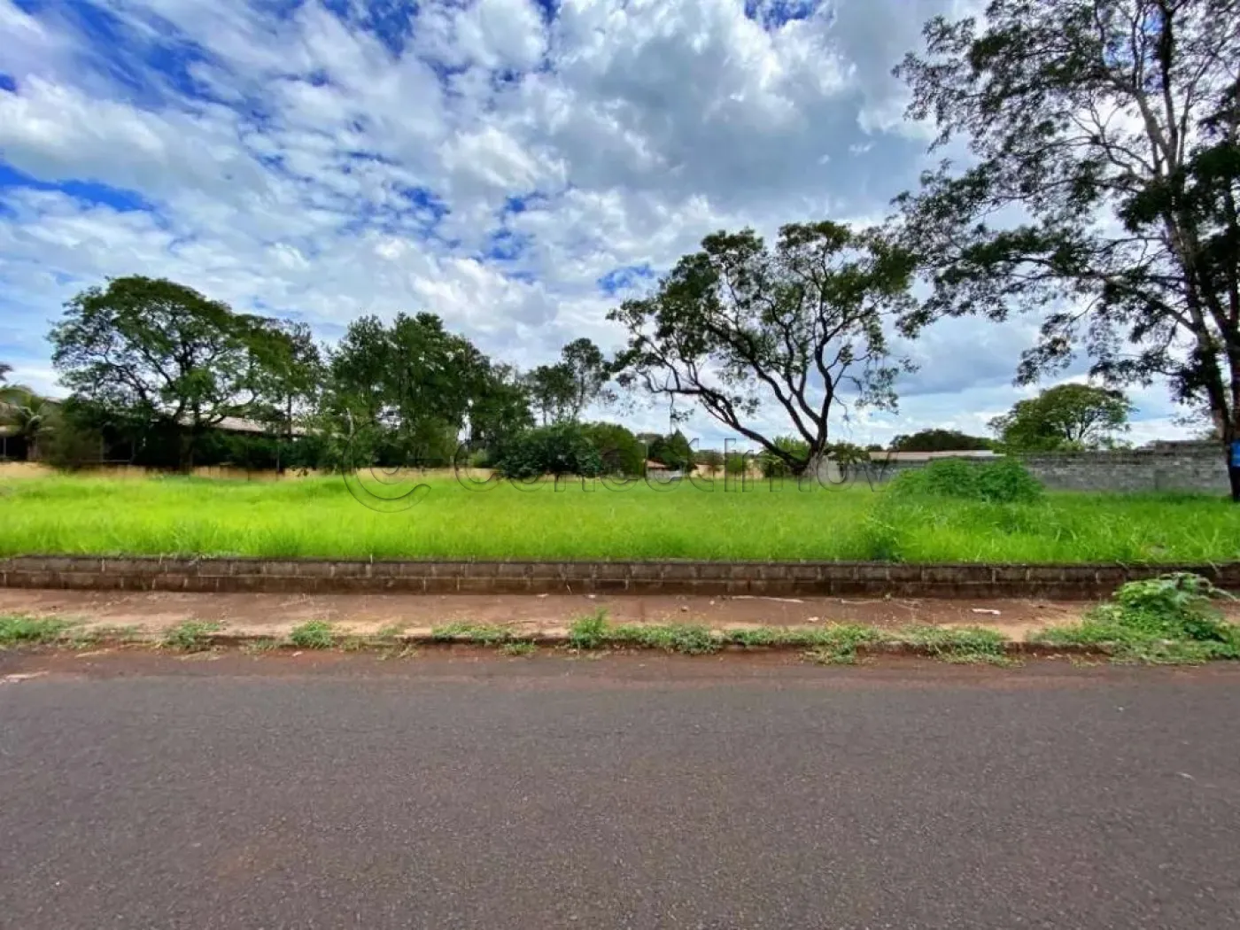 Terreno / Padr&atilde;o em Ribeir&atilde;o Preto Alugar por R$5.000,00