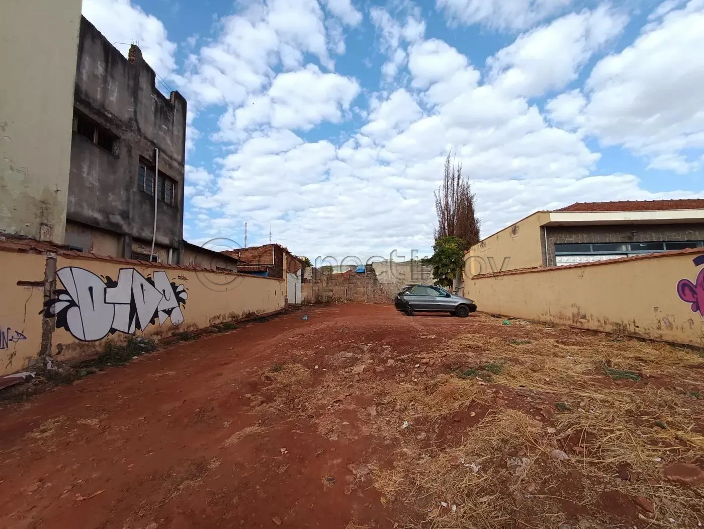 Terreno / Padr&atilde;o em Ribeir&atilde;o Preto Alugar por R$5.500,00