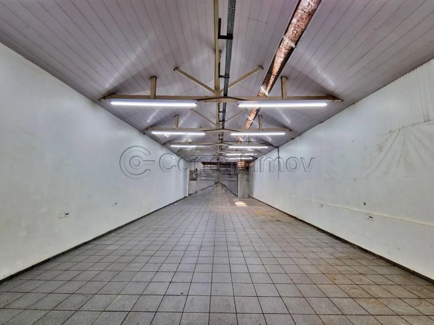 Comercial / Sal&atilde;o sem Condom&iacute;nio em Ribeir&atilde;o Preto Alugar por R$3.000,00