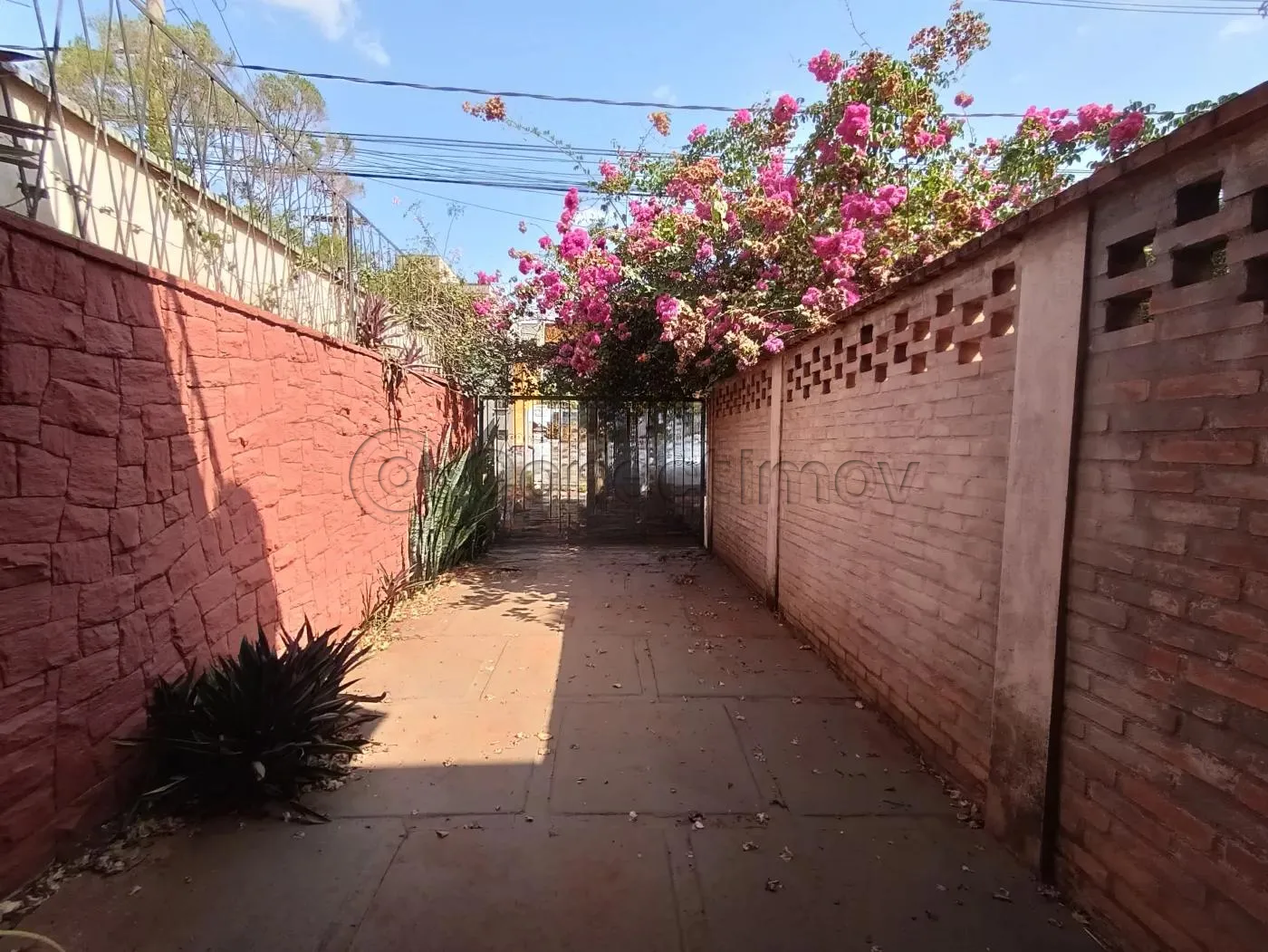 Comercial / Ponto Comercial em Ribeir&atilde;o Preto Alugar por R$7.000,00