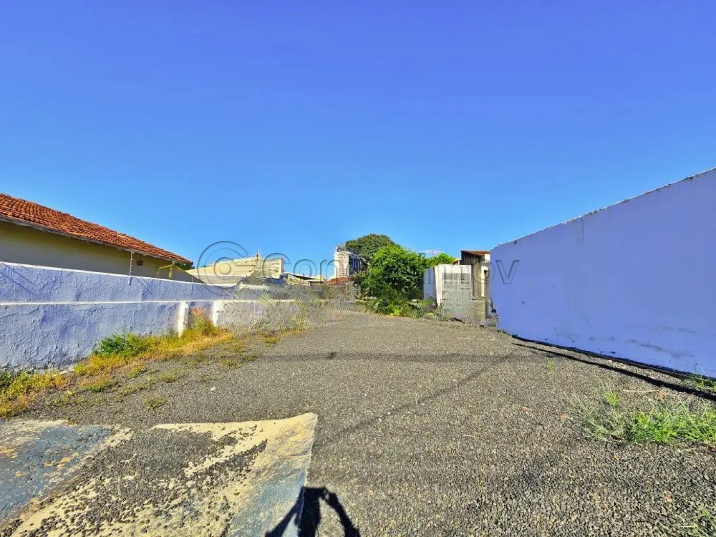 Comercial / Padr&atilde;o em Ribeir&atilde;o Preto 