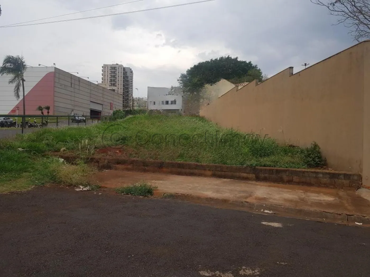 Terreno / Padr&atilde;o em Ribeir&atilde;o Preto 