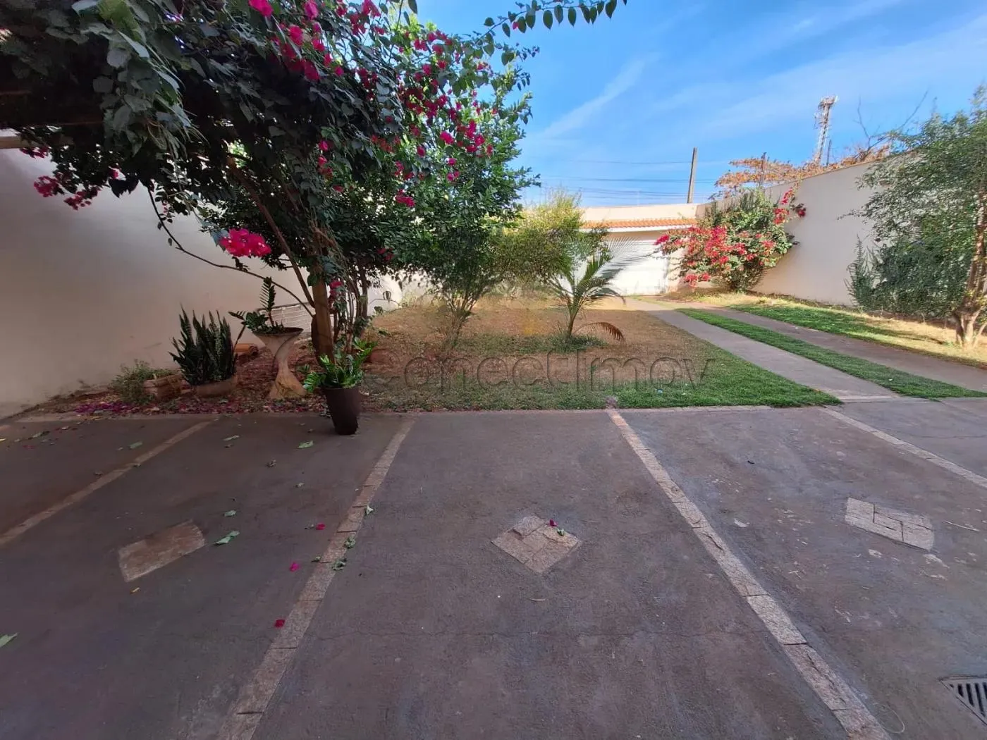 Comercial / Padr&atilde;o em Ribeir&atilde;o Preto 