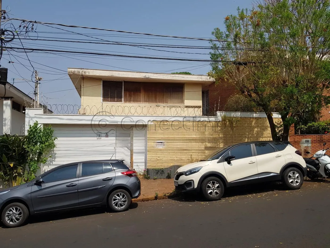 Comercial / Padr&atilde;o em Ribeir&atilde;o Preto 