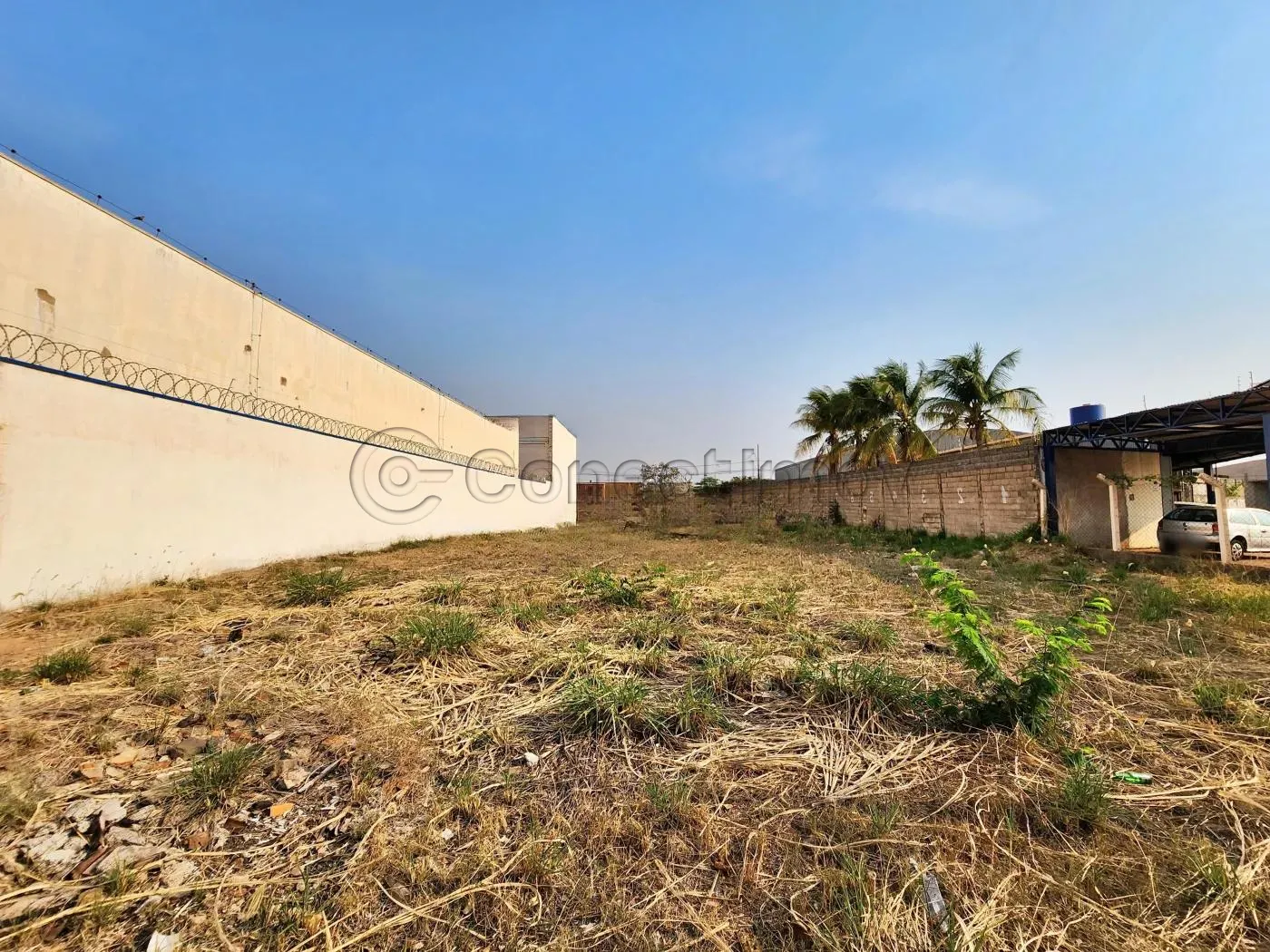 Terreno / Padr&atilde;o em Ribeir&atilde;o Preto 