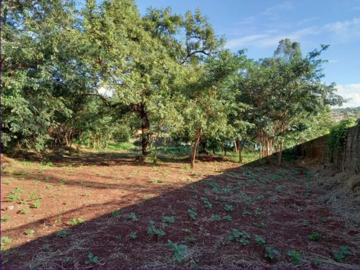 Terreno / Padr&atilde;o em Ribeir&atilde;o Preto Alugar por R$6.000,00