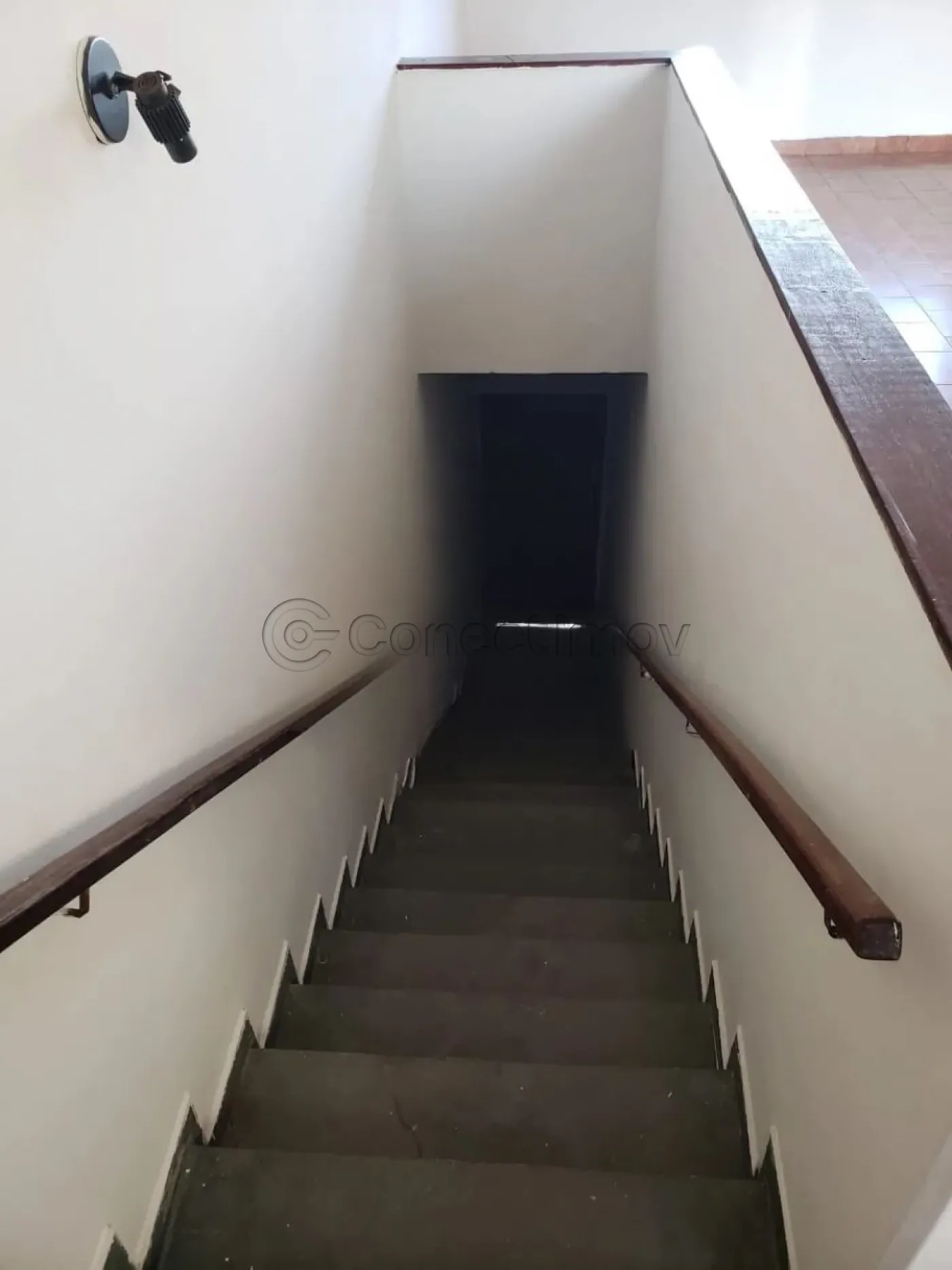 Comercial / Padr&atilde;o em Ribeir&atilde;o Preto Alugar por R$1.500,00