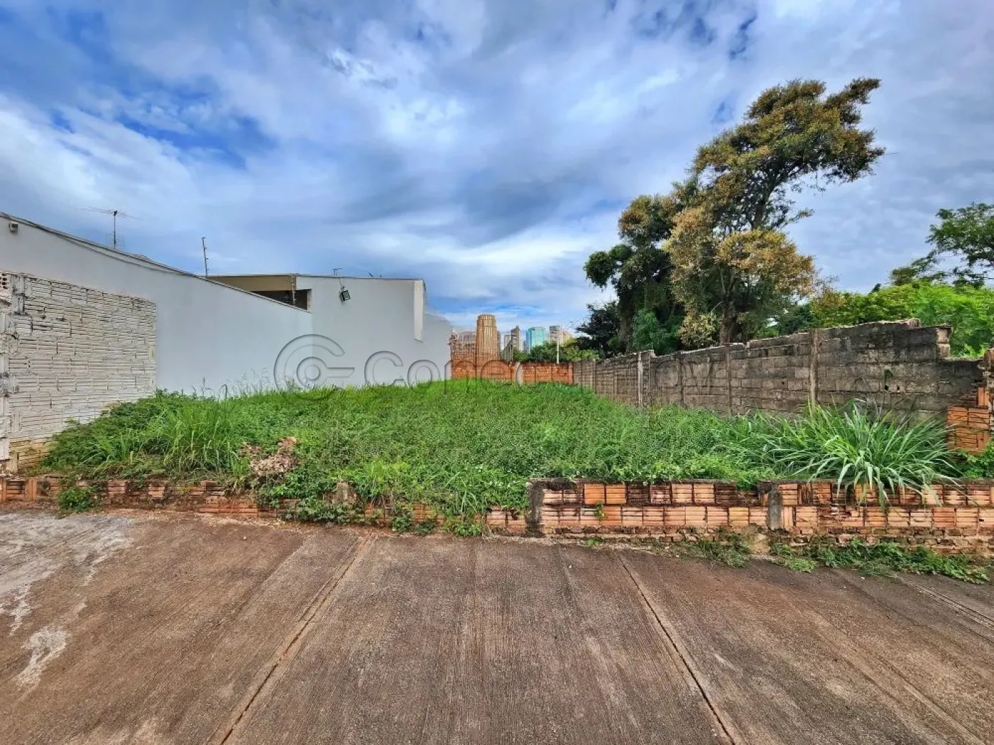 Terreno / Padr&atilde;o em Ribeir&atilde;o Preto 