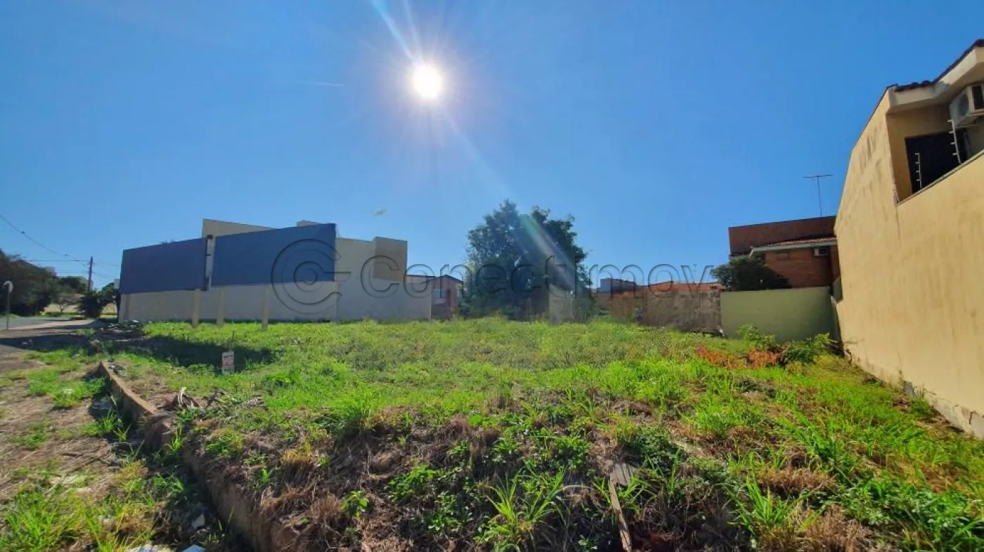 Terreno / Padr&atilde;o em Ribeir&atilde;o Preto 