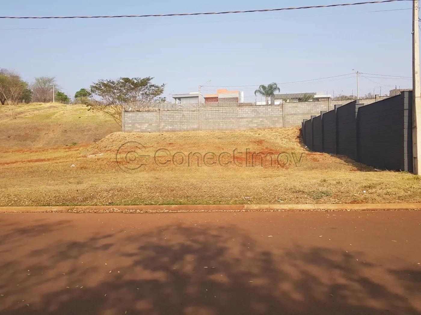 Terreno / Padr&atilde;o em Ribeir&atilde;o Preto 