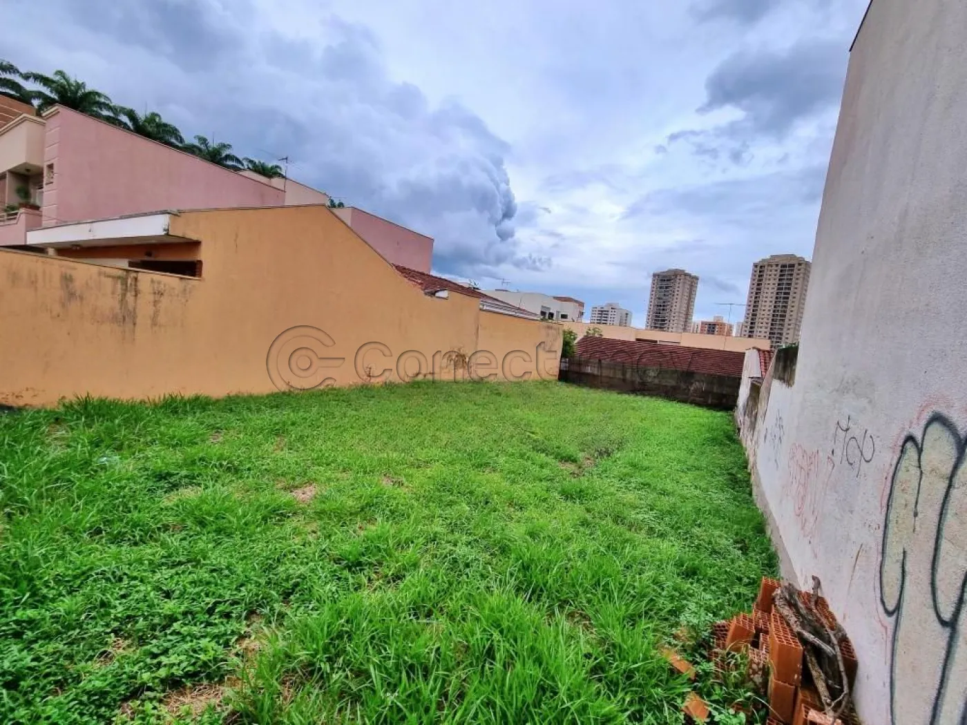 Terreno / Padr&atilde;o em Ribeir&atilde;o Preto 