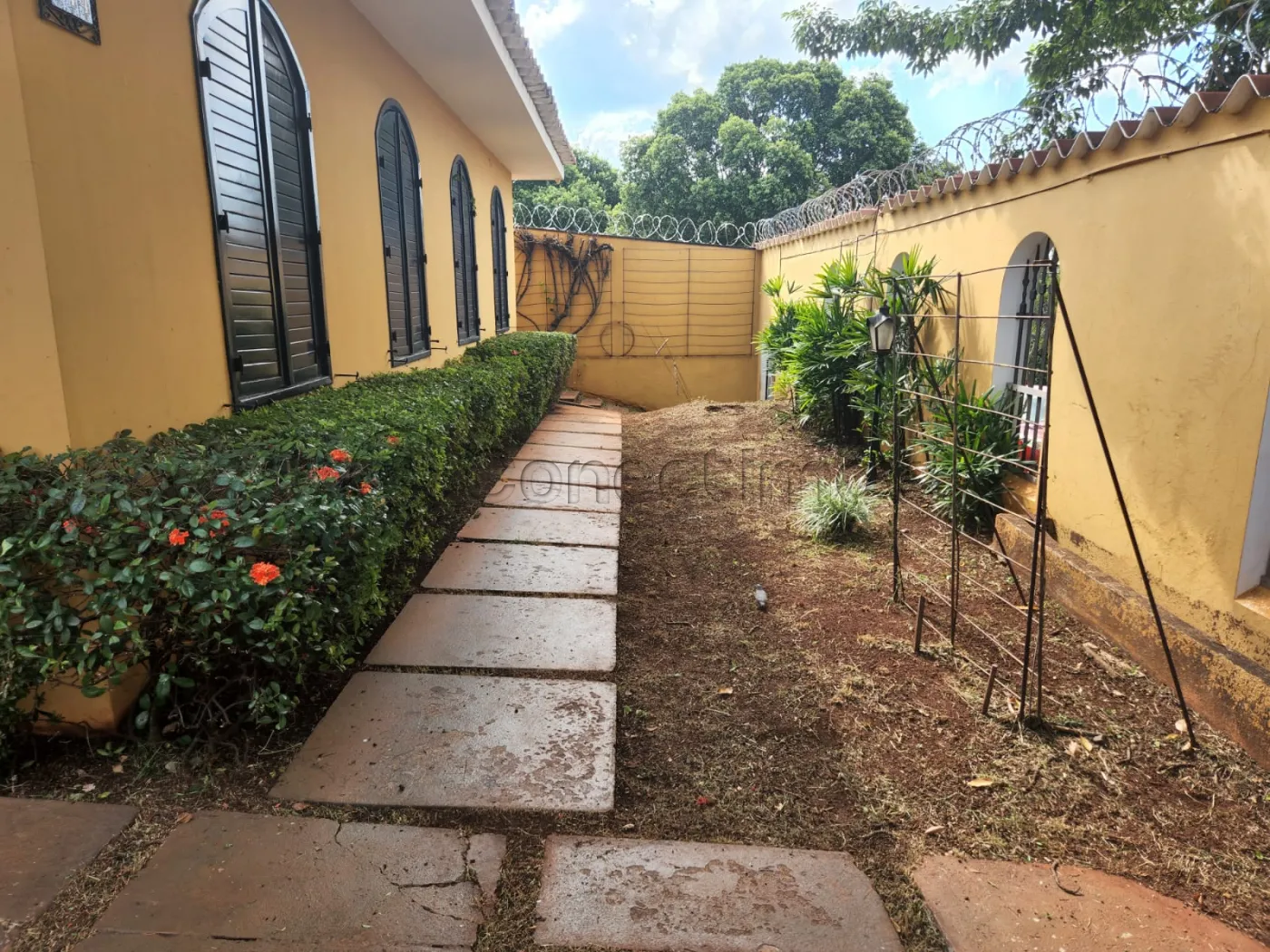 Casa / Sobrado em Ribeir&atilde;o Preto 