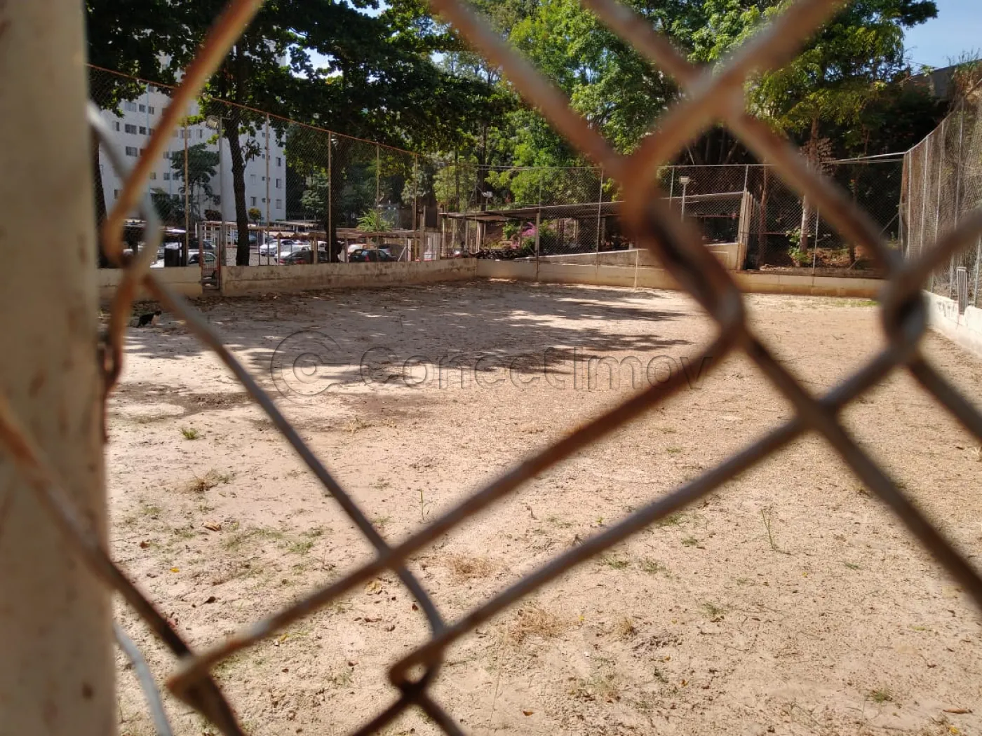 Alugar Apartamento / Padr&atilde;o em Ribeir&atilde;o Preto R$ 1.450,00 - Foto 24