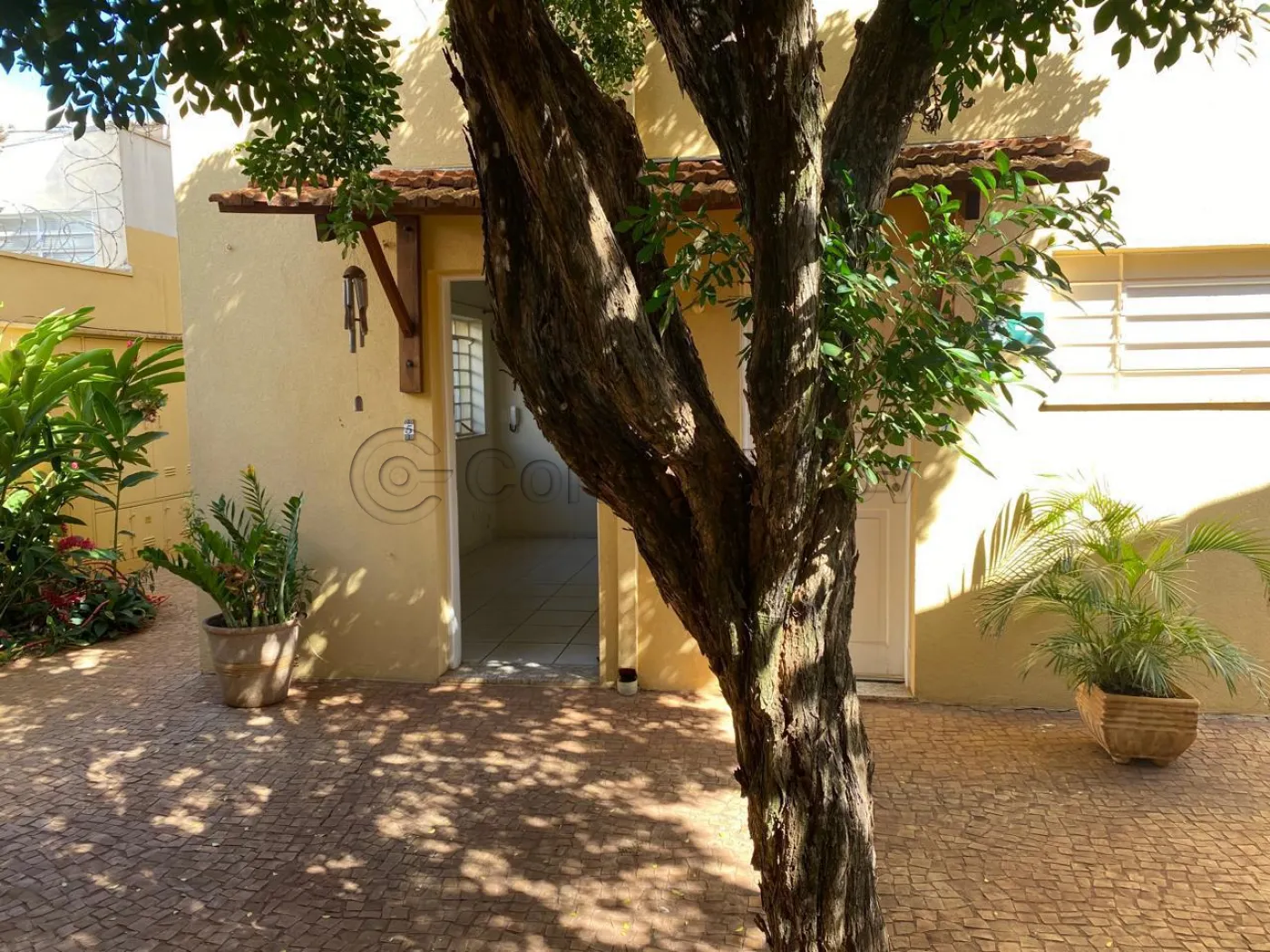 Comercial / Sala sem Condom&iacute;nio em Ribeir&atilde;o Preto Alugar por R$1.300,00